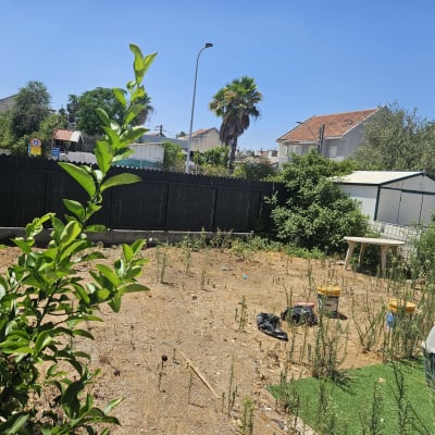 חצר עם צמחייה, דלי צבע ושולחן פלסטיק