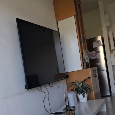 טלוויזיה תלויה על הקיר עם צמחים ליד