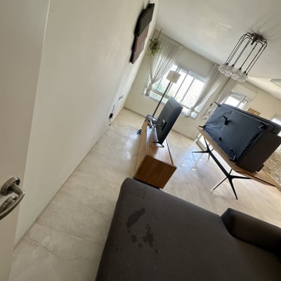 כתם על ספה בחדר מגורים עם טלוויזיה