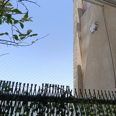 רשת יונים מותקנת על קיר חיצוני עם צמחייה