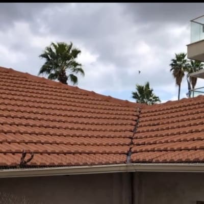 גג רעפים עם עצי דקל ברקע