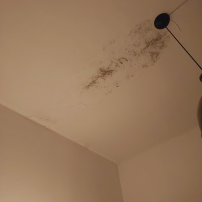 כתמי עובש על תקרה לבנה ליד מנורה