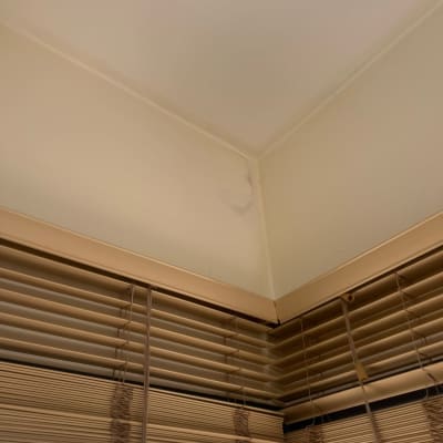 קיר צבוע בצבע בהיר עם סימני תיקון צבע