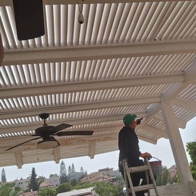 בעל מקצוע עומד על סולם ומבצע חידוש וצביעה של פרגולת עץ לבנה