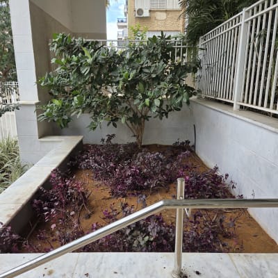 צמחייה ירוקה וסגולה בגינה קטנה עם מעקה מתכת