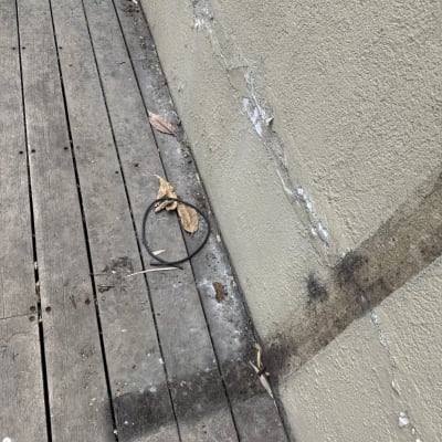 רצפת עץ עם עלים יבשים ליד קיר מתקלף