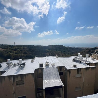 גגות אטומים עם ציפוי לבן ודודי שמש