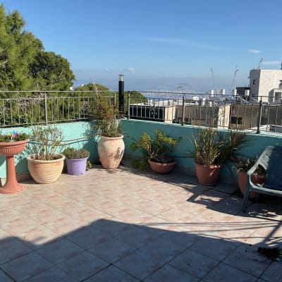 מרפסת עם עציצים ומעקה מתכת