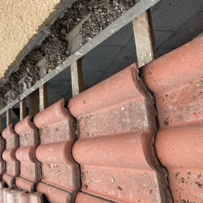 רעפים אדומים על גג עם קורות עץ חשופות