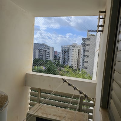 רשת למניעת כניסת יונים במרפסת