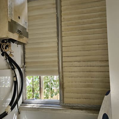 תריסים וחלון עם צמחייה בחוץ