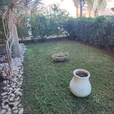 עציץ גדול על דשא, עציץ קטן עם צמחים