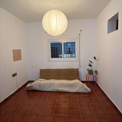 מנורה תלויה מהתקרה בחדר ריק עם ספה וצמח