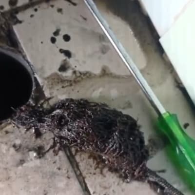 כלי עבודה לניקוי סתימות בצנרת על רצפה רטובה