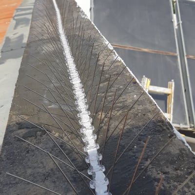 דוקרנים מותקנים על קצה גג למניעת ציפורים