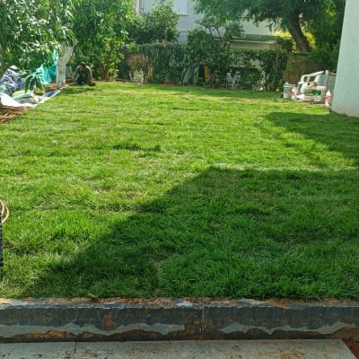 אדם עובד בגינה עם דשא ועצים מסביב