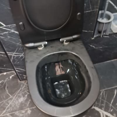 אסלה שחורה עם מברשת ניקוי בצד