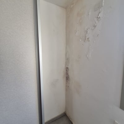 קיר עם סימני רטיבות והתקלפות צבע