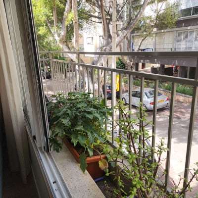 מעקה מתכת במרפסת עם עציצים ירוקים