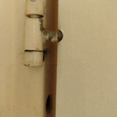 ציר דלת מתכת עם בורג חשוף