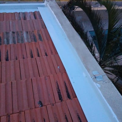 רעפים אדומים על גג עם תעלת ניקוז לבנה