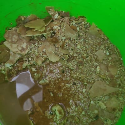 חלקי קליפות בתוך דלי ירוק עם מים