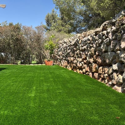 דשא ירוק עם קיר אבן ועצים ברקע