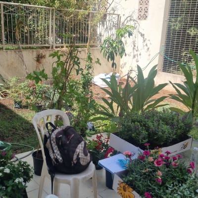 עציצים ופרחים על שולחן בגינה, כלי גינון על הקרקע