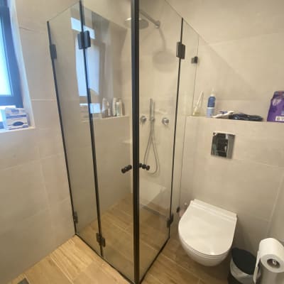 מקלחון זכוכית עם ראש מקלחת ושירותים