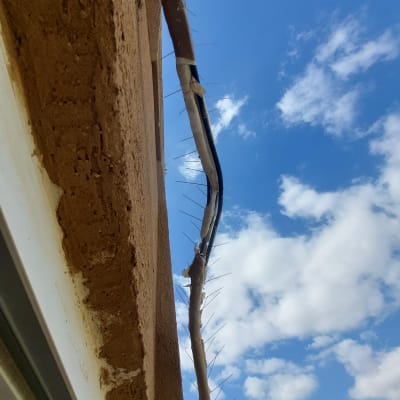 דוקרנים על צינור למניעת קינון יונים