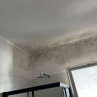 תקרה עם סימני עובש ורטיבות בחדר אמבטיה