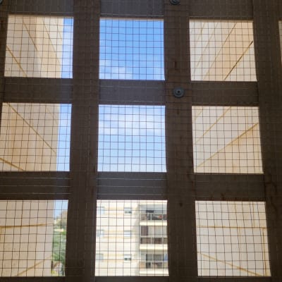 רשת מתכת על מסגרת עץ למניעת כניסת יונים