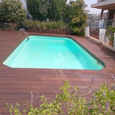 בריכת שחייה עם דק עץ וצמחייה מסביב