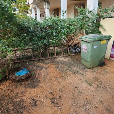 שיחים ירוקים עם פרחים ורודים ליד פח אשפה ירוק