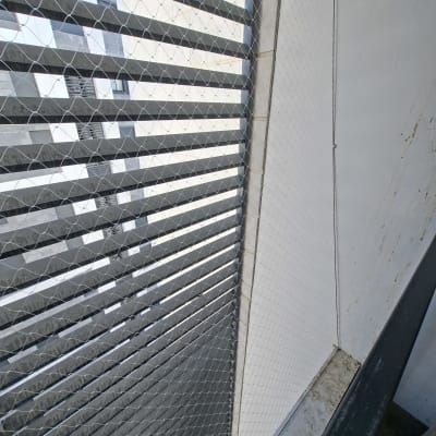 רשת למניעת כניסת יונים על חלון בניין