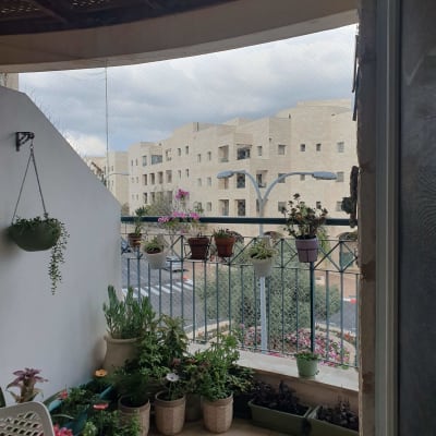 מרפסת עם עציצים וצמחים, בניינים ברקע