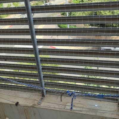 רשת למניעת כניסת יונים על חלון בניין