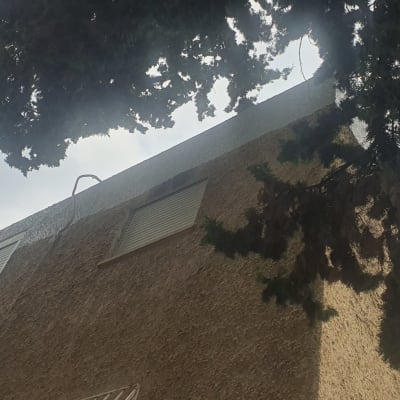 בניין עם תריסים סגורים ועץ ברקע