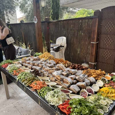 שולחן עם מגוון מאכלים צבעוניים לאירוע קייטרינג