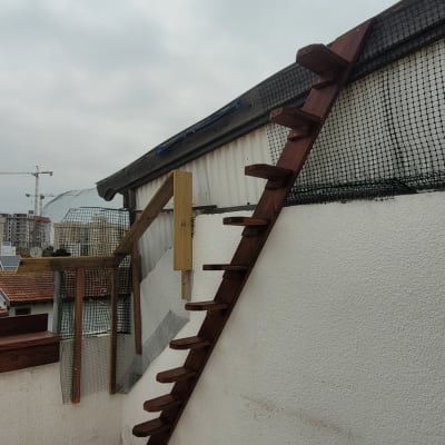 סולם עץ מחובר לקיר חיצוני עם רשתות