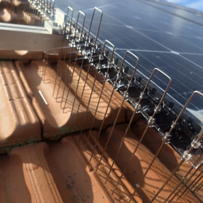 דוקרנים למניעת יונים על גג עם פאנלים סולאריים