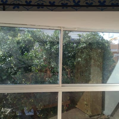 חלון זכוכית עם נוף של עצים מבחוץ