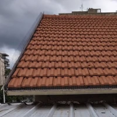 גג רעפים עם הגנה נגד יונים על רקע שמיים מעוננים
