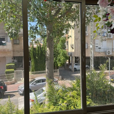 חלון זכוכית עם צמחים תלויים ונוף חיצוני של עצים ובניינים