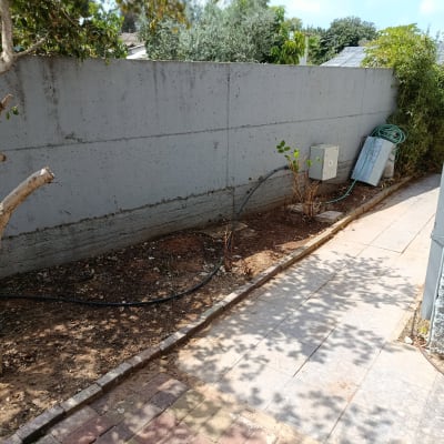 שביל גינה עם צינור השקיה ועצים