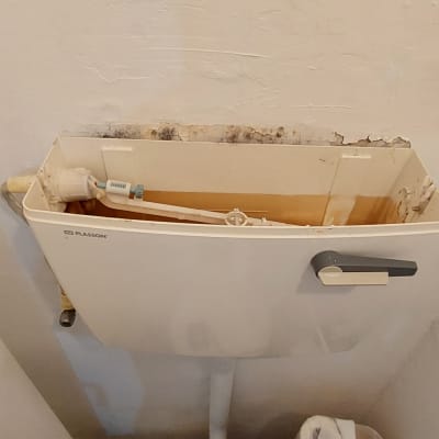 ניאגרה פתוחה עם צינור ומנגנון פנימי