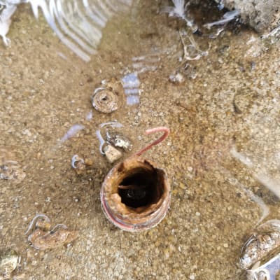 תמונה אינה מציגה עבודה בתחום