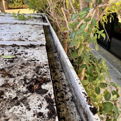 גג עם עלים ולכלוך בתעלת ניקוז