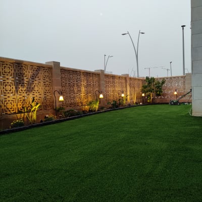 דשא ירוק, צמחים ופרחים ליד קיר מואר