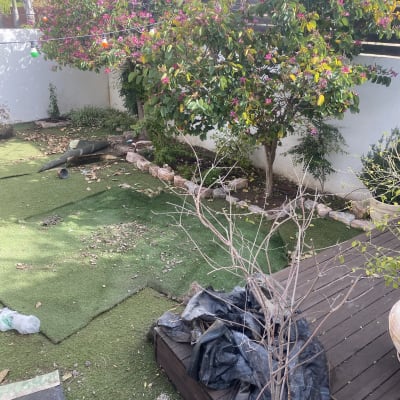 עץ בעציץ, עלים יבשים, מגרפה כתומה, דשא מלאכותי